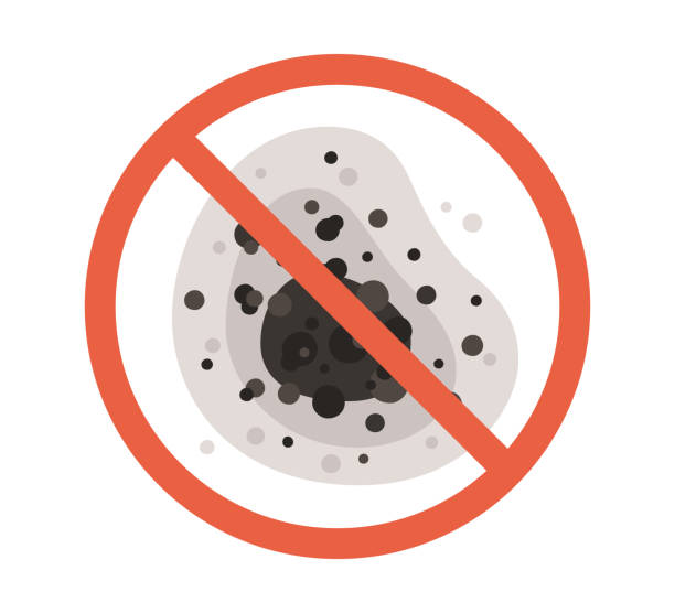 Best Dehumidification Services  in Honaunau Napoopoo, HI
