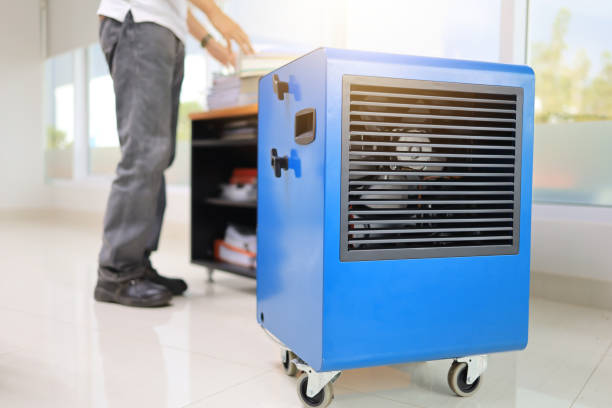 Best Emergency Mold Remediation  in Honaunau Napoopoo, HI